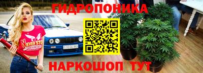 ECSTASY Бугуруслан