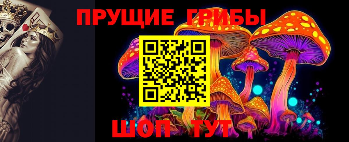 Семёнов  Галлюциногенные грибы мицелий  Вход с VPN  Галлюциногенные грибы GOLDEN TEACHER 